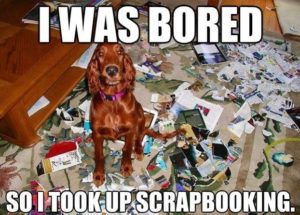 Dog scrapbooking